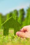 Hand Holding Eco House Icon Stock Photo