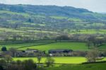 Scenic View Of The Undulating Countryside Of Somerset Stock Photo