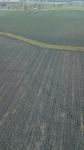 Country Agricultural And Farming Field Stock Photo