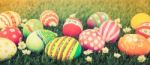 Easter Eggs With Flower On Fresh Green Grass ( Filtered Image Pr Stock Photo