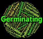 Germinating Word Showing Sows Farm And Cultivates Stock Photo