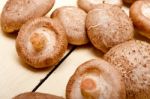 Shiitake Mushrooms Stock Photo