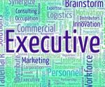 Executive Word Represents Senior Administrator And Ceo Stock Photo