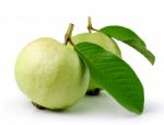 Guava (tropical Fruit) On White Background Stock Photo