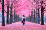 Beautiful Girl With Pink Leaves In Nami Island, South Korea Stock Photo