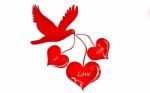 Bird And Love Symbol Stock Photo