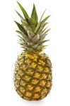 Pineapple Stock Photo