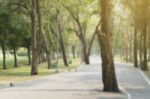 Blurred Image Of Street In Green Park Stock Photo