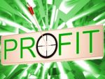 Profit Means Earning Revenue And Business Growth Stock Photo