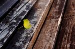 Yellow Leaf On Brown Bench Closeup Stock Photo