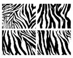 Set Of Zebra Pattern Stock Photo