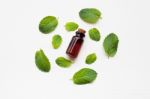 Essentail Oil With Fresh Mint Leaves Stock Photo