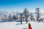 Deogyusan,korea - January 23: Tourists Taking Photos Of The Beautiful Scenery Around Deogyusan,south Korea On January 23, 2015 Stock Photo