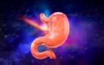 Human Stomach 3d Illustration In Digital Background Stock Photo