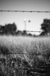 Rusted Sharp Timber And Metal Barb Wire Fence Stock Photo