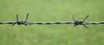 Barbed Wire Fence Stock Photo