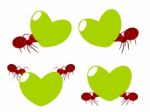 Red Ants Teamwork Illustration Stock Photo