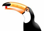 Toucan Stock Photo