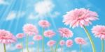 Flower On Spring Background Stock Photo