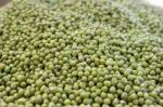 Mung Bean Stock Photo