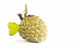 Custard Apple Stock Photo