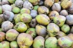 Pile Of Coconut Stock Photo