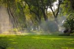 Foggy Of Garden Sprinker In Public Park Bangkok Thailand Stock Photo