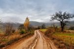 Muddy Ground After Rain In Mountains. Extreme Path Rural Dirt Ro Stock Photo