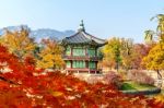 Gyeongbokgung Palace In Autumn,south Korea Stock Photo