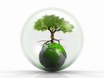 Earth And Tree In A Bubble Stock Photo