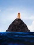 Conceptual Unreal Of Baby Chick On Lonely Island Use For Multipu Stock Photo