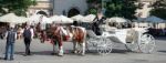 Carriage And Horses In Krakow Stock Photo