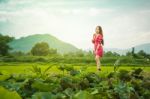 Beautiful Young Attractive  Asian Women In Red Dress On Sunrise Beautiful Nature Background Of The Mountains And Lotus Garden Image Of Happy  Camping, Travel, Lifestyle Resting , Relaxing Concept Vintage Style Stock Photo