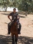 Ronda, Andalucia/spain - May 8 : Horse Rider At A Farm Near Rond Stock Photo