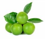 Citrus Sinensis Isolated On The White Background Stock Photo