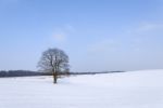 Winter Landscape Stock Photo