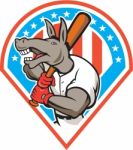 Donkey Baseball Player Batting Diamond Cartoon Stock Photo