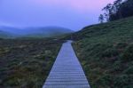 Cradle Mountain In Tasmania On A Cloudy Day Stock Photo