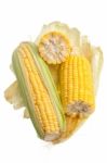 Corn Isolated Stock Photo