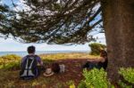 The Couple On Griffiths Island Stock Photo