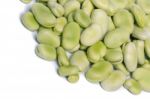 Broad Beans Stock Photo