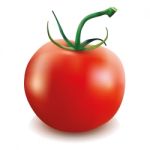 Red Tomato Stock Photo