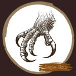 Illustration Of Eagle Claw, Hawk Bird Stock Photo