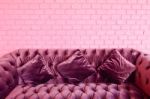 Pink Sofa Stock Photo