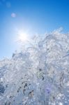 Deogyusan Mountains In Winter, Korea Stock Photo