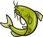 Catfish Fish Jumping Cartoon Stock Photo