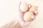 Hand Holding An Eggs On Brown Background Stock Photo