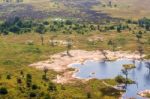 Okavango Delta Aerial View Stock Photo