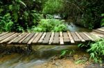 Wood Bridge Stock Photo