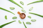 Aloe Vera On White Background Stock Photo